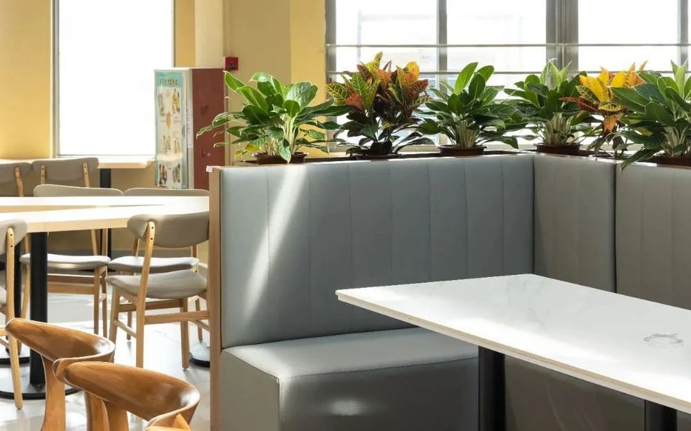 广州天省实验学校